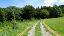  Blick auf die Wanderstrecke 