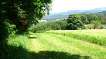  Blick auf die Wanderstrecke 