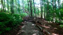 Wanderroute durch das groe Waldgebiet des Eichbergs