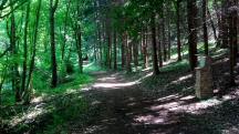  Wanderroute auf dem Dichterweg 