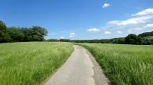  Blick auf die Wanderstrecke am Eichbergfeld 