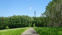  Wanderroute auf dem Eichberg 