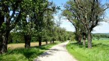  Wanderroute auf dem Theissl - Weg 