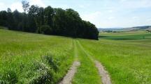  Wanderroute zum Weiler Eichberg 