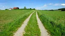  Wanderroute nach Neukirchstetten 