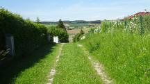  Blick auf die Wanderstrecke in Neukirchstetten 