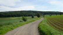  Blick auf die Wanderstrecke 