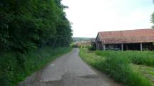  Wanderroute bei Reith 