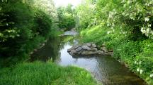  Blick auf den Michelbach flussabwrts  