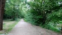  Wanderroute wieder entlang des Michelbachs