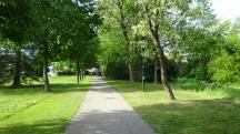  Wanderroute wieder entlang des Michelbachs