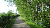  Wanderroute wieder entlang des Michelbachs