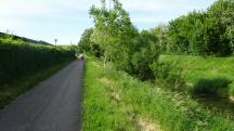  Wanderroute wieder entlang des Michelbachs