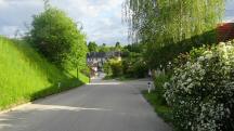  Blick auf die Wanderstrecke in Albrechtsberg 