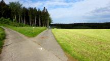  Blick auf die Wanderstrecke 