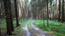  Blick auf die Wanderstrecke 