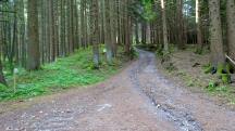  Blick auf die Wanderstrecke 