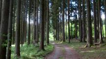  Blick auf die Wanderstrecke 