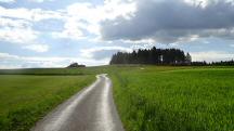 Blick auf die Wanderstrecke Richtung Fhrenbhel 