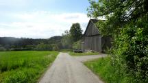  Blick auf die Wanderstrecke in Attenreith 