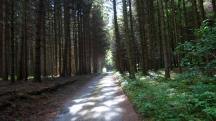  Blick auf die Wanderstrecke 