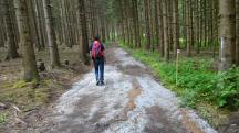  Blick auf die Wanderstrecke 
