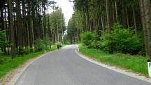  Wanderroute auf der L7163 Richtung Harrau 