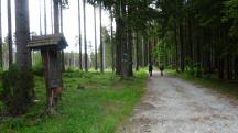  Blick auf die Wanderstrecke 