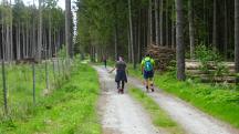  Blick auf die Wanderstrecke 
