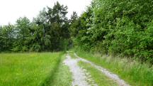  Blick auf die Wanderstrecke 