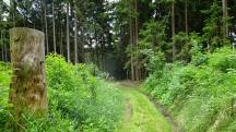  Blick auf die Wanderstrecke 