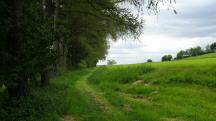  Blick auf die Wanderstrecke 
