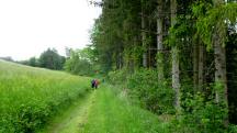  Blick auf die Wanderstrecke 