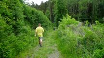  Blick auf die Wanderstrecke 