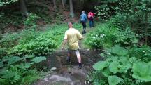  Blick auf die Wanderstrecke beim Gillauser Bach 