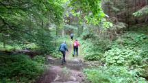  Blick auf die Wanderstrecke beim Gillauser Bach 