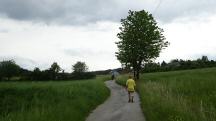  Wanderroute nach Gillaus 