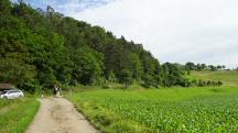  Wanderroute zum Weiler Zogelsdorf 