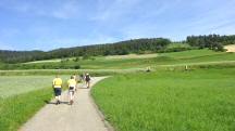  Blick auf die Wanderstrecke 