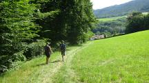  Blick auf die Wanderstrecke 
