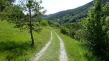  Wanderroute Richtung Weiler Zehentegg 