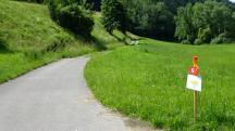  Blick auf die Wanderstrecke 