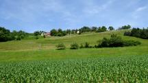  Blick zum Weiler Zogelsdorf 