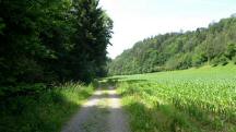  Blick auf die Wanderstrecke 