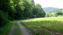 Blick auf die Wanderstrecke mit Gegenverkehr Richtung Weiler "Am Schu"