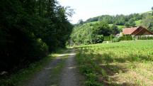 Blick auf die Wanderstrecke mit Gegenverkehr Richtung Weiler "Am Schu"