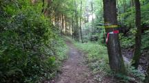  Wanderroute entlang des Eselsteiggrabenbachs 