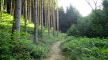  Blick auf die Wanderstrecke 
