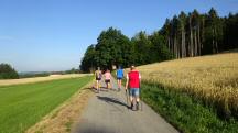  Blick auf die Wanderstrecke 