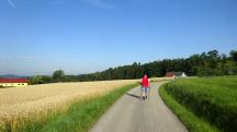  Blick auf die Wanderstrecke 